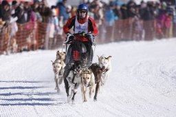 Lenk 2013